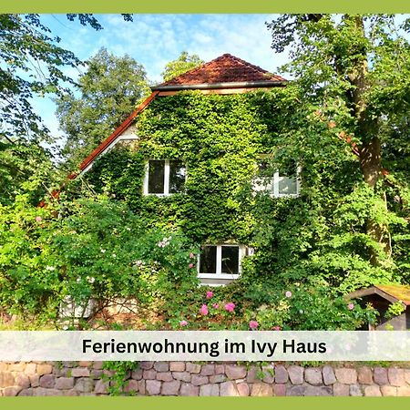 Appartement Ivy Haus à Falkensee Extérieur photo